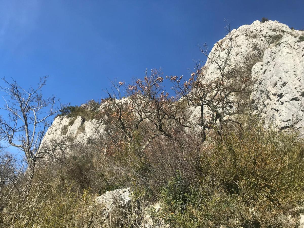 Chambre En Ardeche Du Sud Saint-Remeze Exterior photo